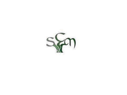 SCM trademark
