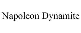 NAPOLEON DYNAMITE trademark