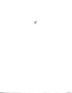 XT trademark