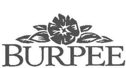 BURPEE trademark