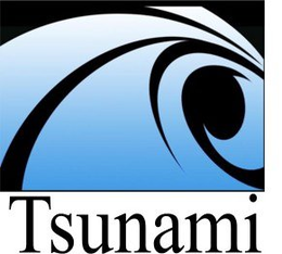TSUNAMI trademark