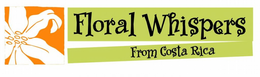 FLORAL WHISPERS FROM COSTA RICA trademark