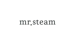 MR. STEAM trademark