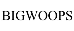 BIGWOOPS trademark