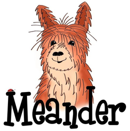 MEANDER trademark