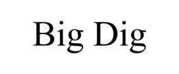 BIG DIG trademark