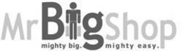 MRBIGSHOP MIGHTY BIG. MIGHTY EASY. trademark