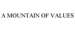 A MOUNTAIN OF VALUES trademark