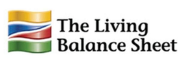 THE LIVING BALANCE SHEET trademark