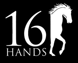 16 HANDS trademark