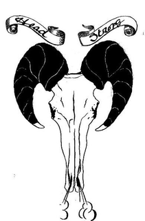 HEAD STRONG trademark