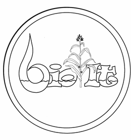 BIO IT trademark