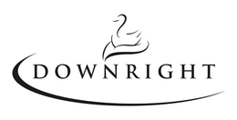 DOWNRIGHT trademark
