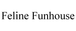 FELINE FUNHOUSE trademark