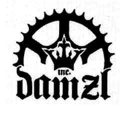 DAMZL INC. trademark