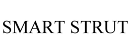 SMART STRUT trademark