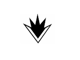 V trademark