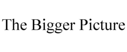 THE BIGGER PICTURE trademark
