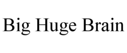 BIG HUGE BRAIN trademark