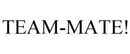 TEAM-MATE! trademark