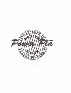 POWER PLA, LIVE IT · LOVE IT · FLAUNT IT · FLEX IT ACTIVE WEAR trademark