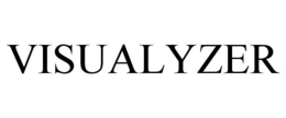 VISUALYZER trademark
