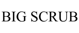 BIG SCRUB trademark