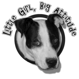 LITTLE GIRL, BIG ATTITUDE trademark