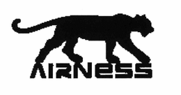 AIRNESS trademark