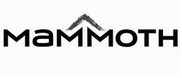 V MAMMOTH trademark