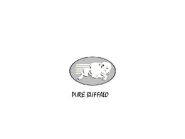 PURE BUFFALO trademark