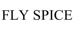 FLY SPICE trademark