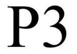 P3 trademark