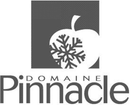 DOMAINE PINNACLE trademark