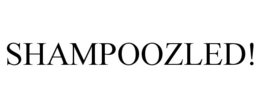 SHAMPOOZLED! trademark