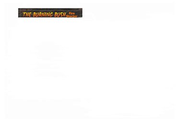 THE BURNING BUSH FIRE STARTER trademark