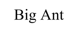 BIG ANT trademark