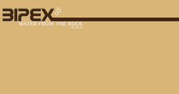 BIPEX WATER FROM THE ROCK IS 48:21 trademark