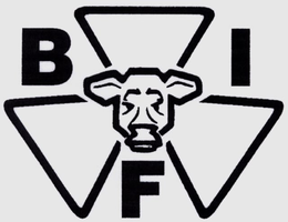 B I F trademark