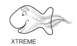 XTREME trademark
