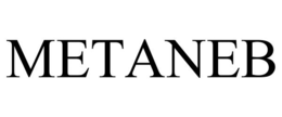 METANEB trademark
