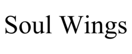 SOUL WINGS trademark