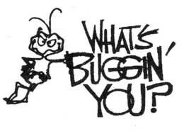 WHAT'S BUGGIN' YOU? trademark