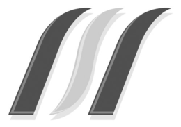 MS trademark