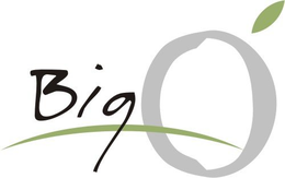 BIG O trademark