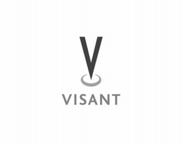 V VISANT trademark