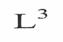 L3 trademark
