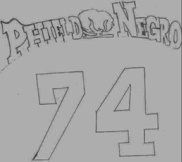 PHIELD NEGRO 74 trademark