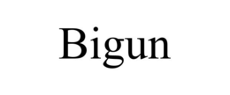 BIGUN trademark