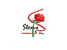 STEMS USA trademark